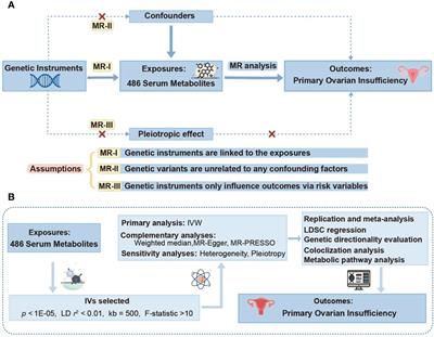 Non-targeted metabolomics revealed novel links between serum metabolites and primary ovarian insufficiency: a Mendelian randomization study